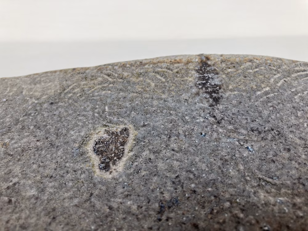 寒風須恵器　長方皿