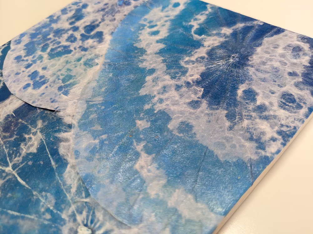 碧の誓い   ～ あの日、波が運んだ約束の記憶～