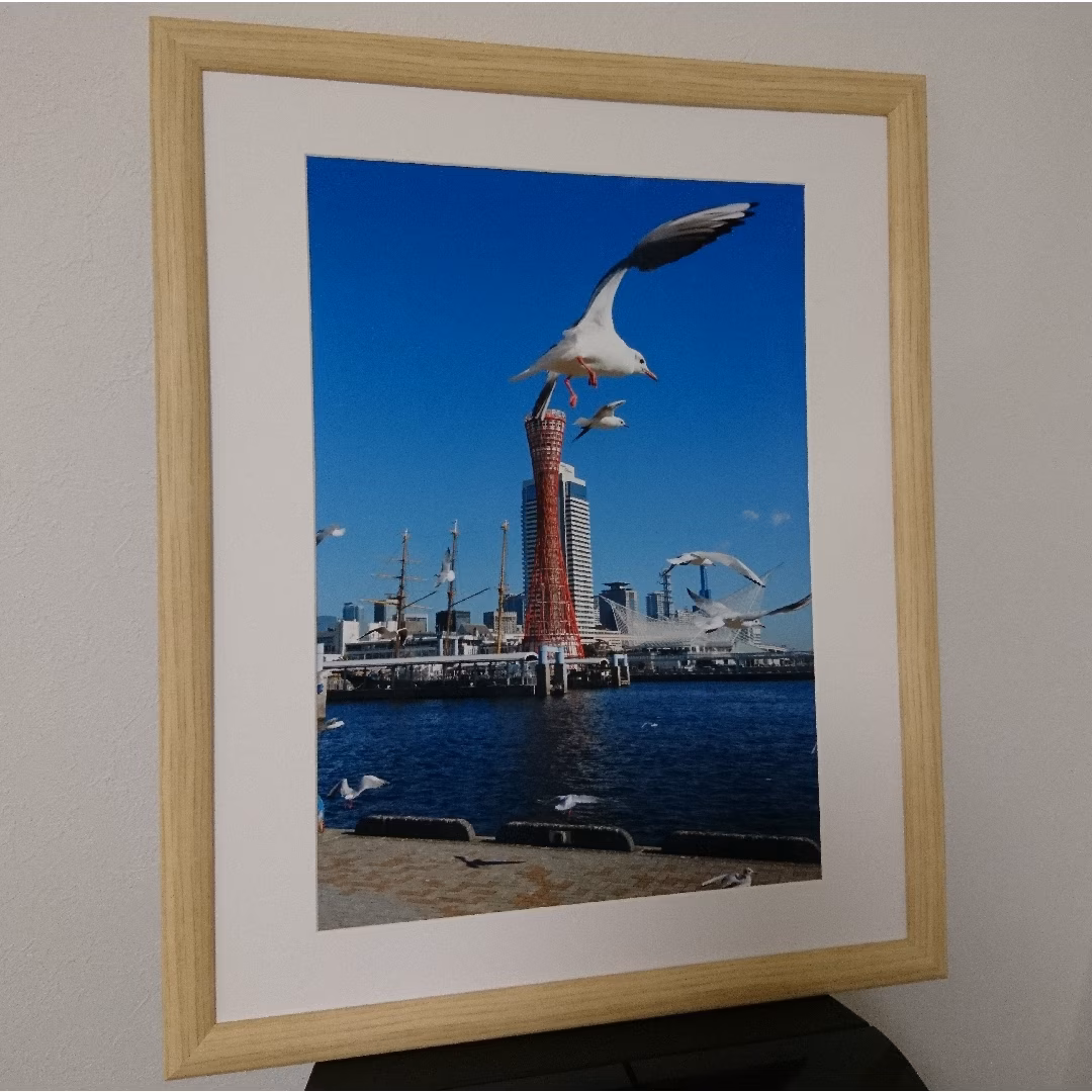 みなと神戸に咲く華 一輪挿し 「ユリカモメ」 A3サイズ写真