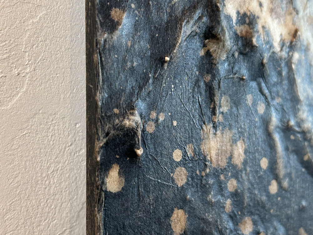 触れる絵画　天と地