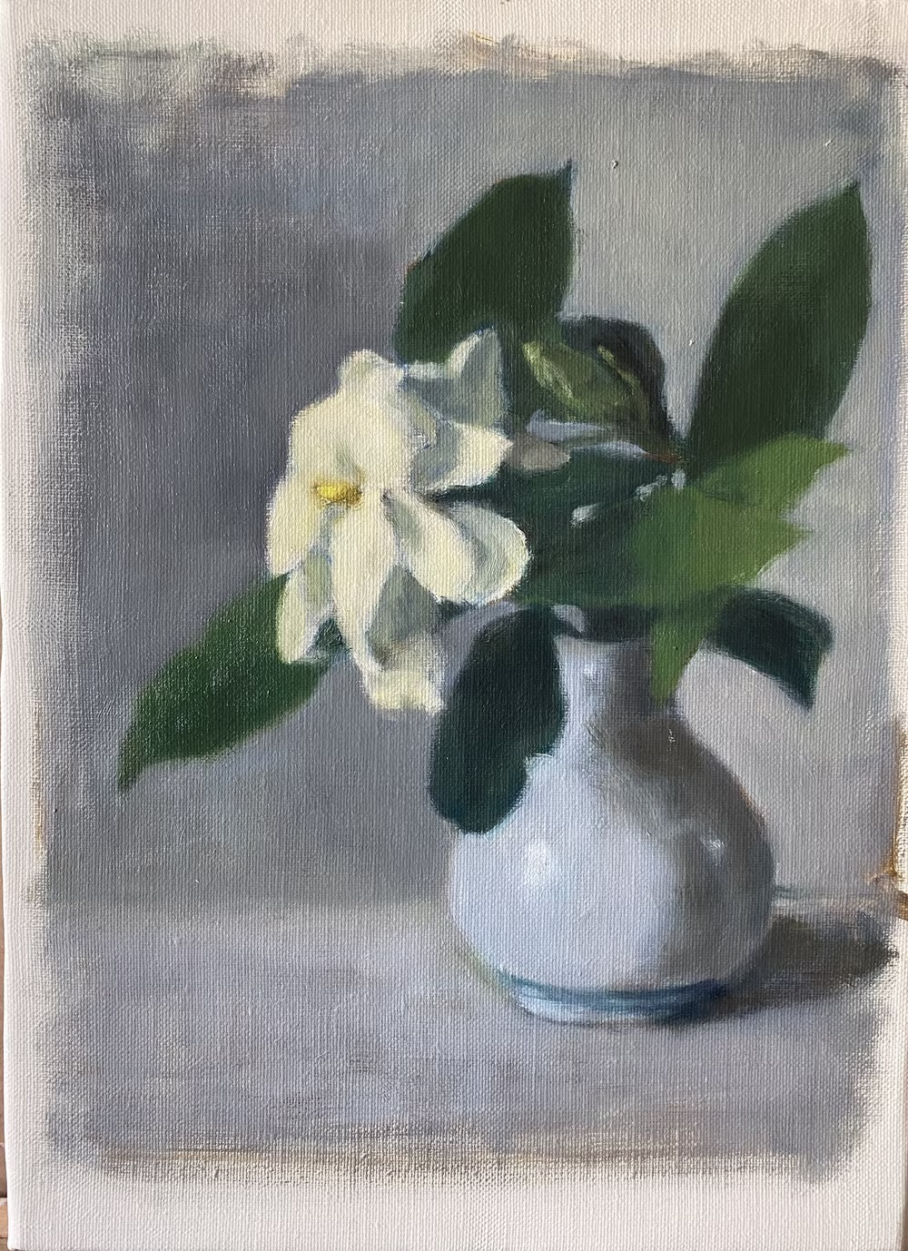 Gardenia