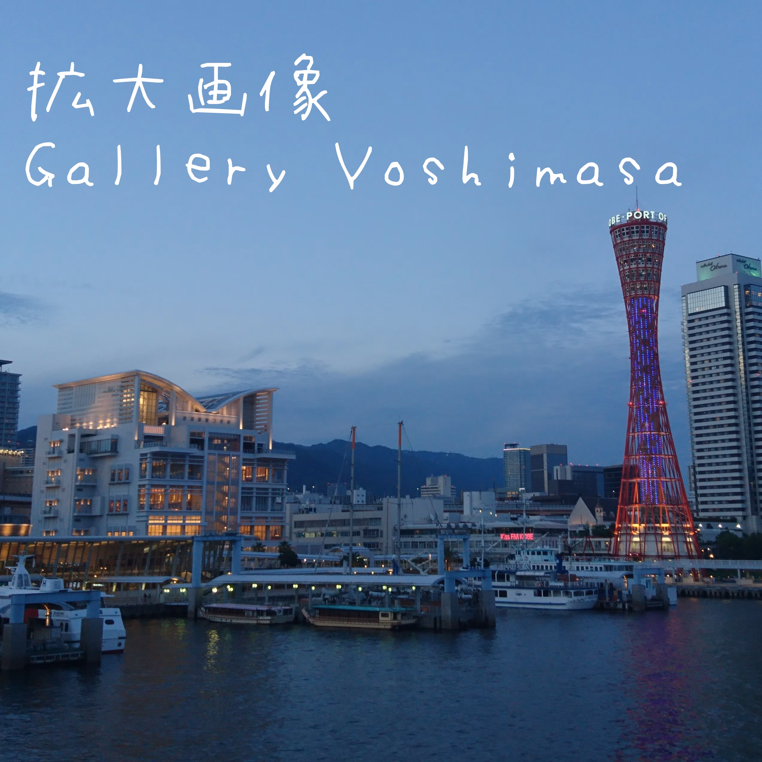 みなと神戸に咲く華 「夕夜景」 A3サイズ光沢写真 写真のみ