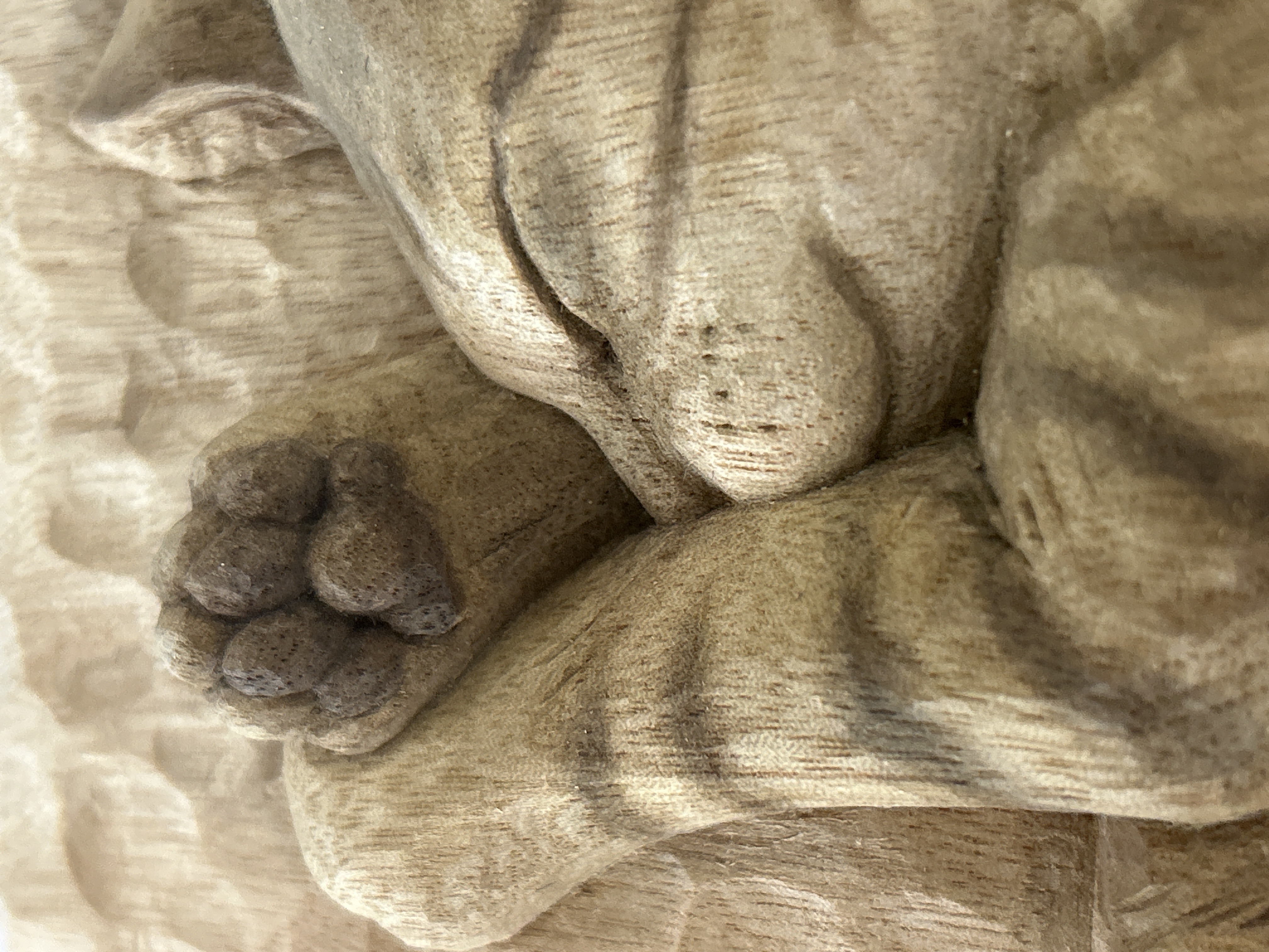 キジトラ子猫レリーフ