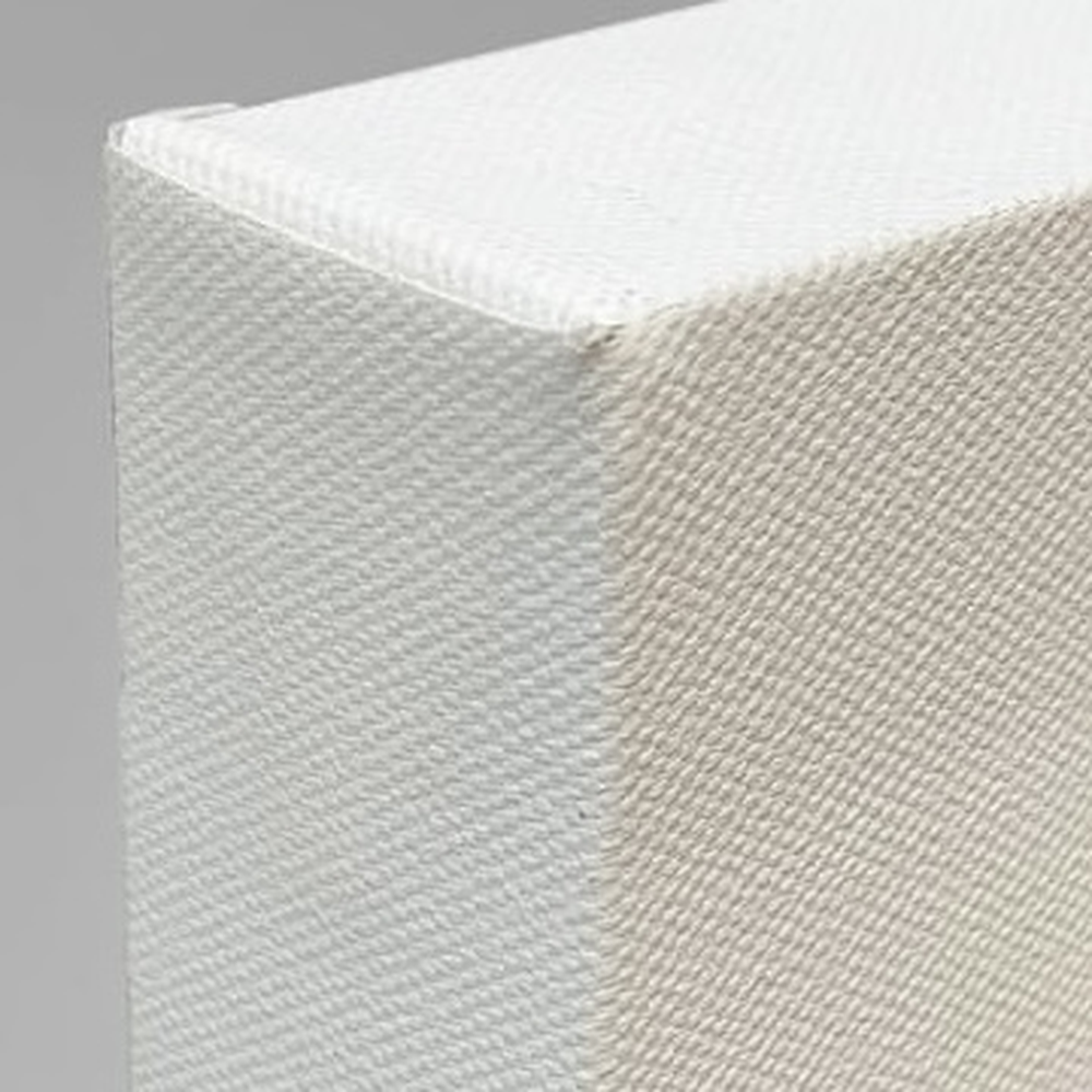 Tropical Toucano / print