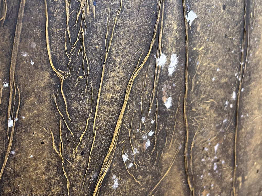 触れる絵画　 水 ～祈り～