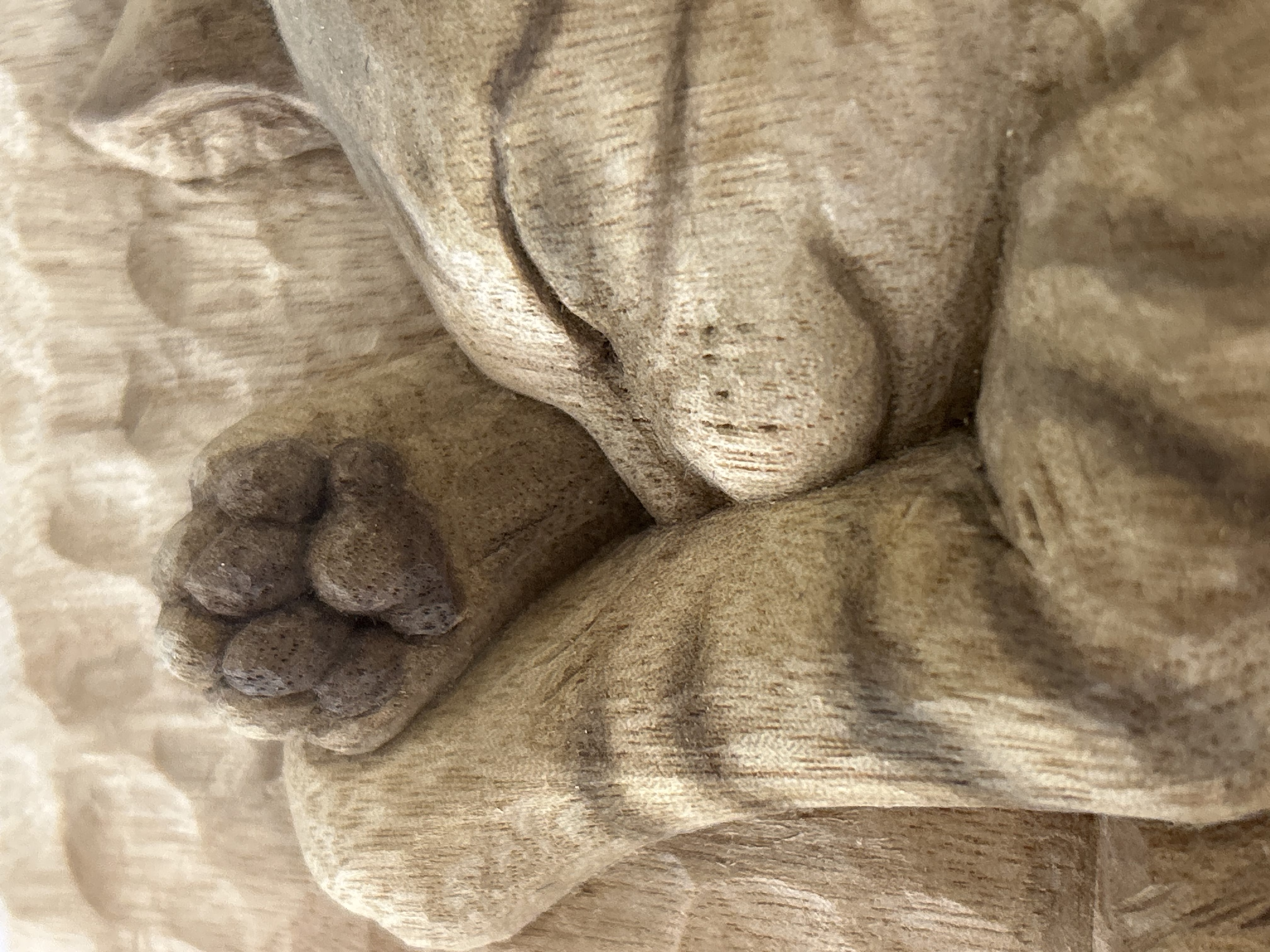 キジトラ子猫レリーフ