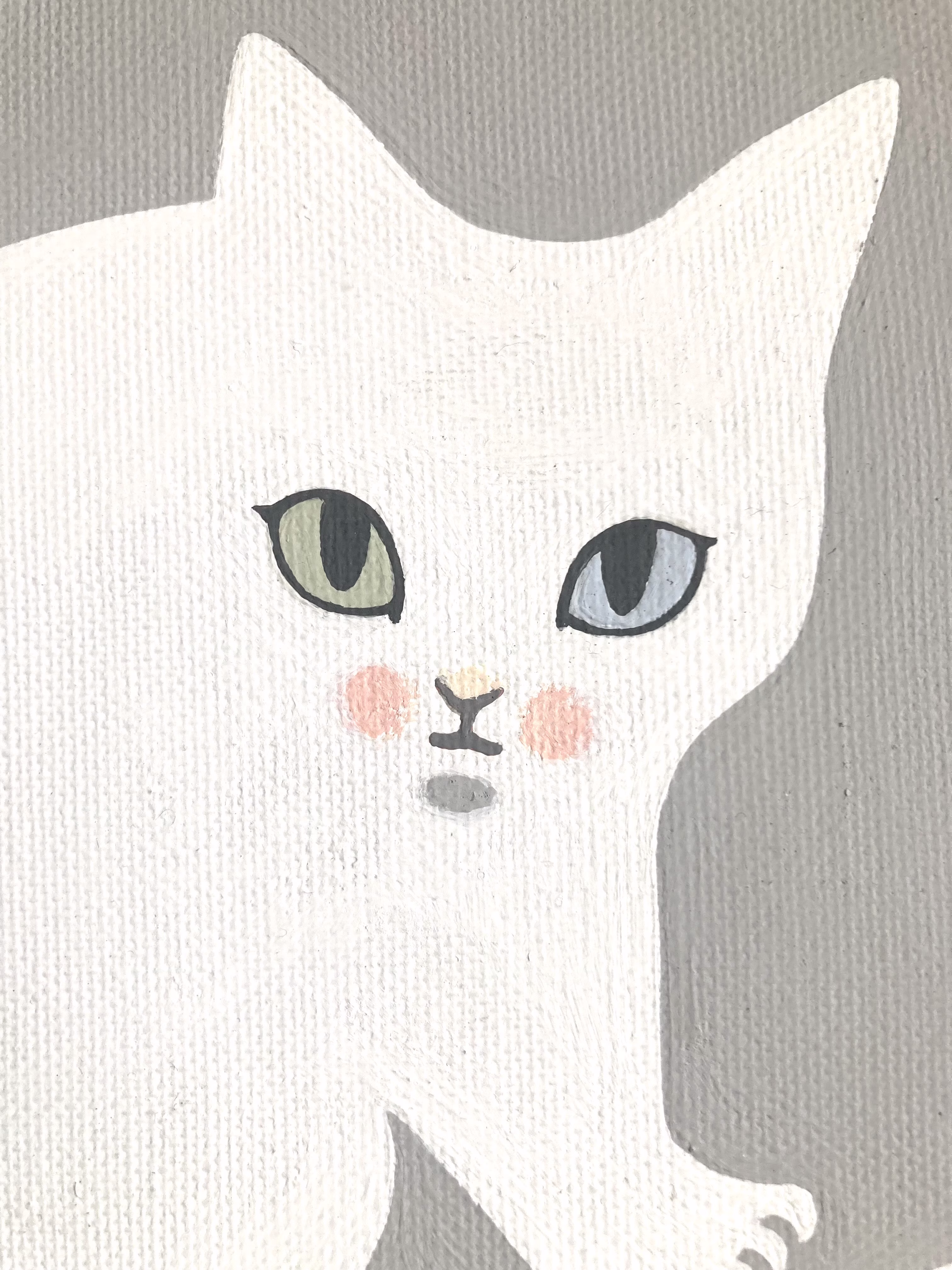 オッドアイのこ