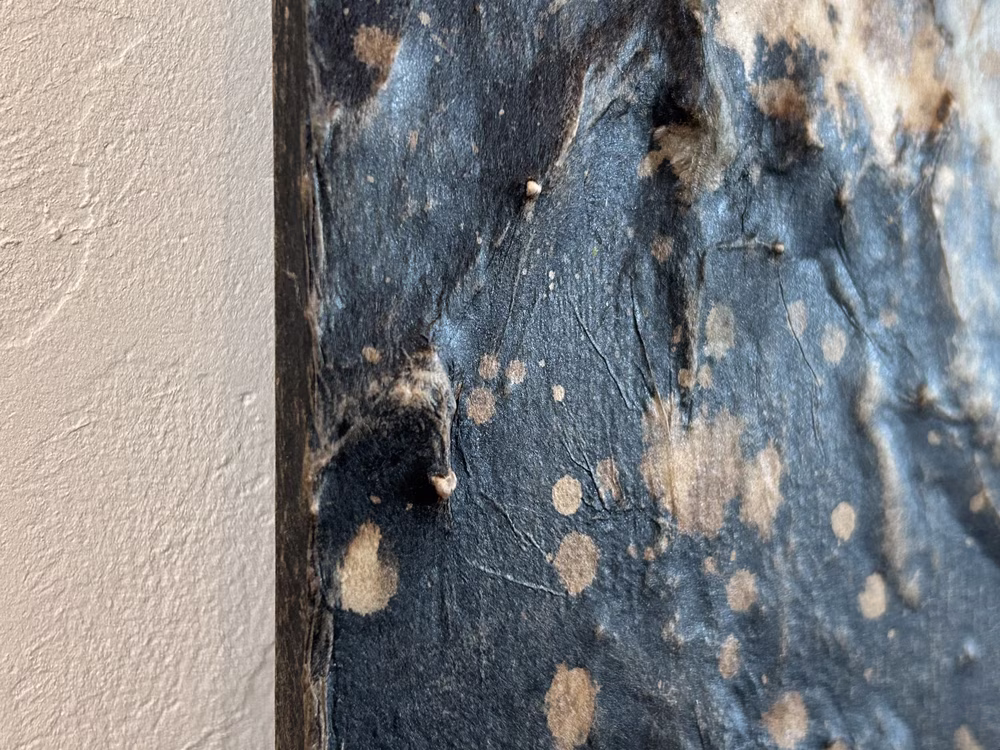 触れる絵画　天と地