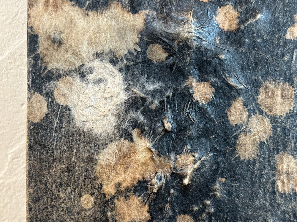 触れる絵画　天と地