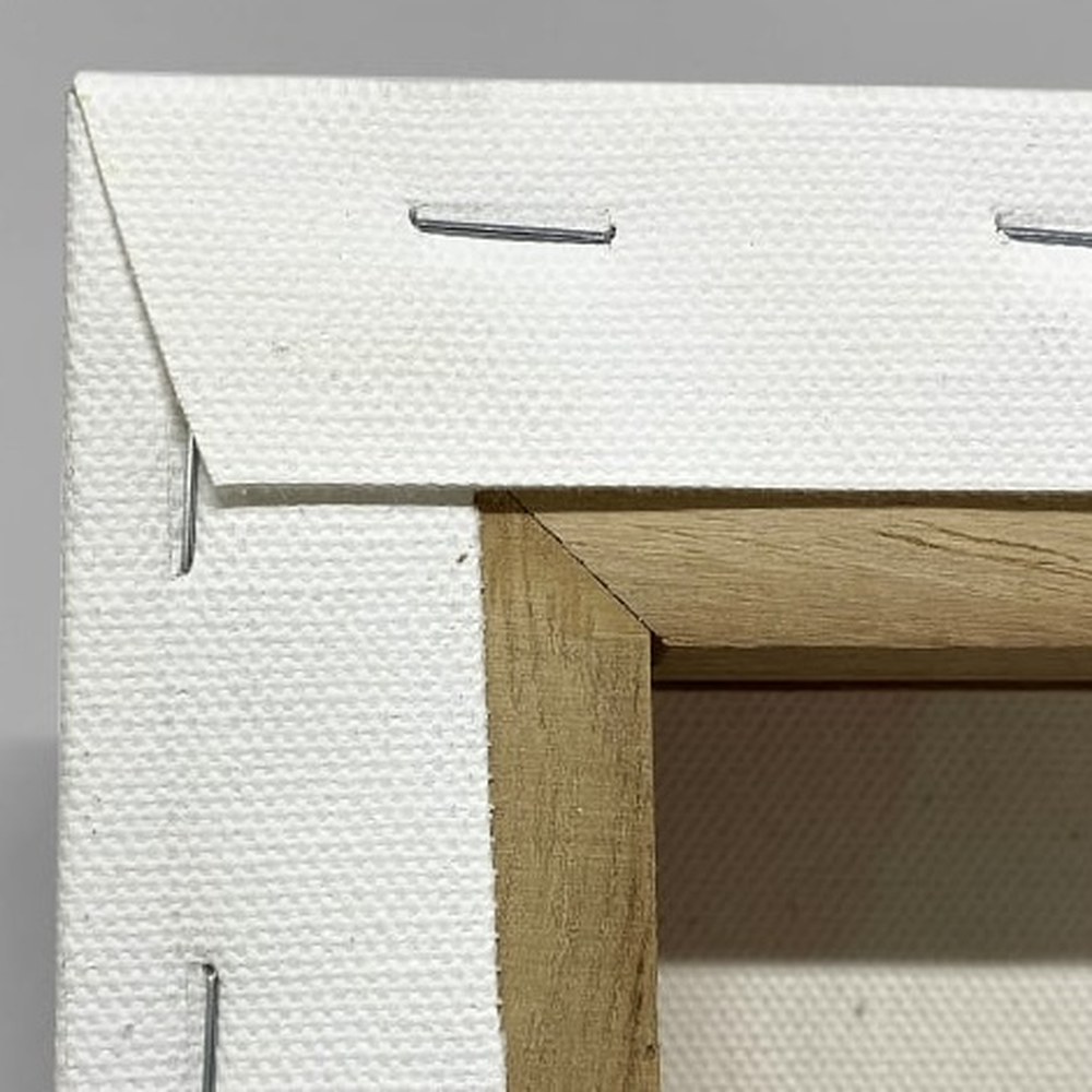 Tropical Toucano / print