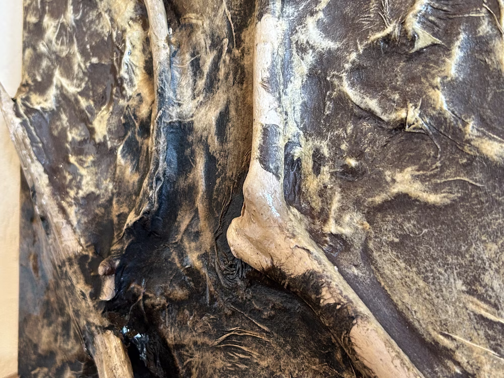 触れる絵画　ムキダシ6