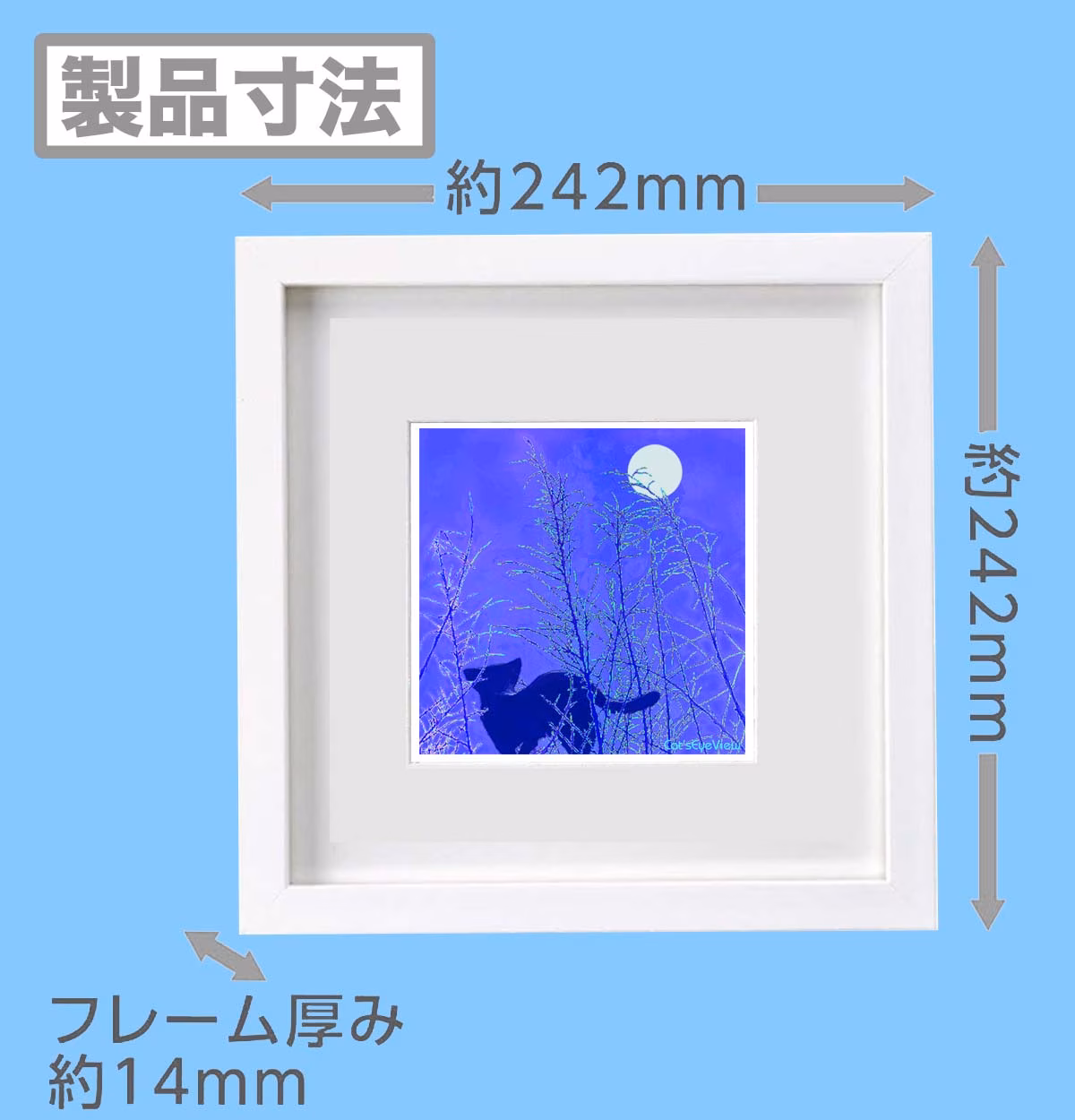 CAT004