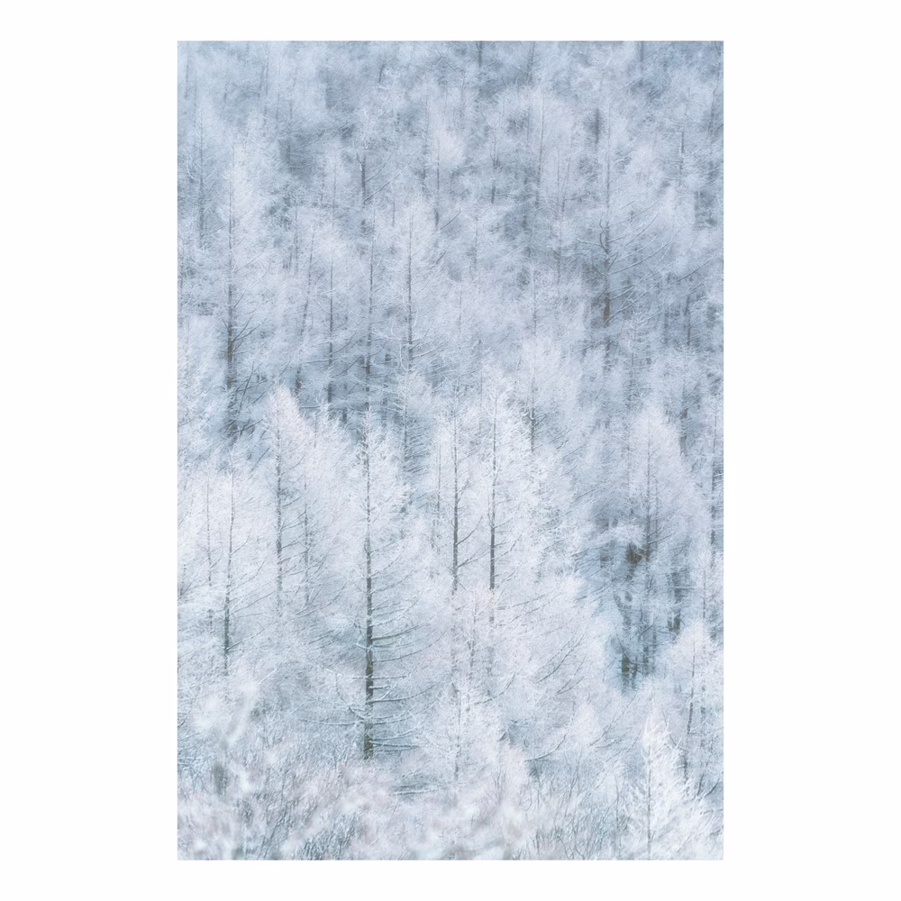 霧氷