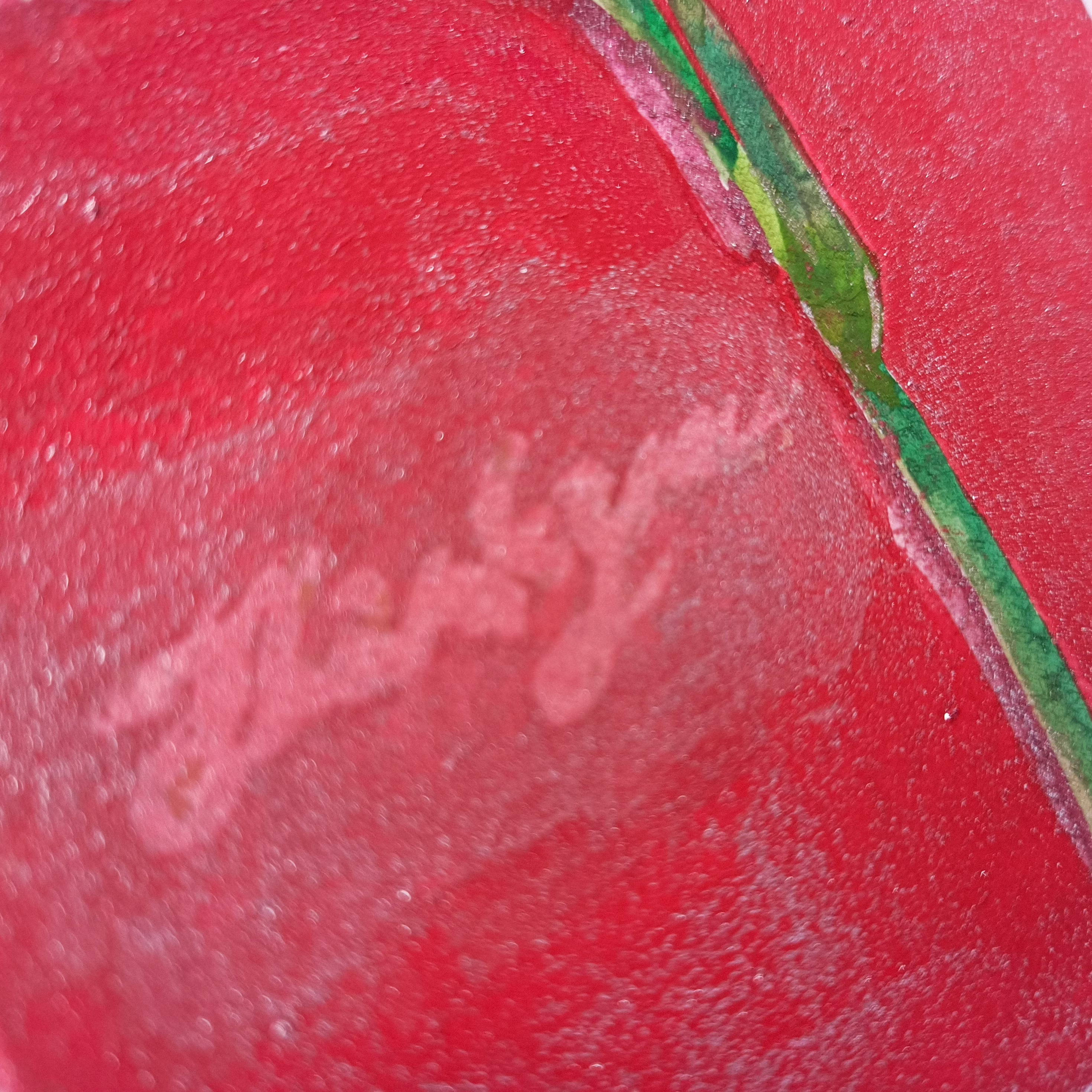 赤いカーネーション