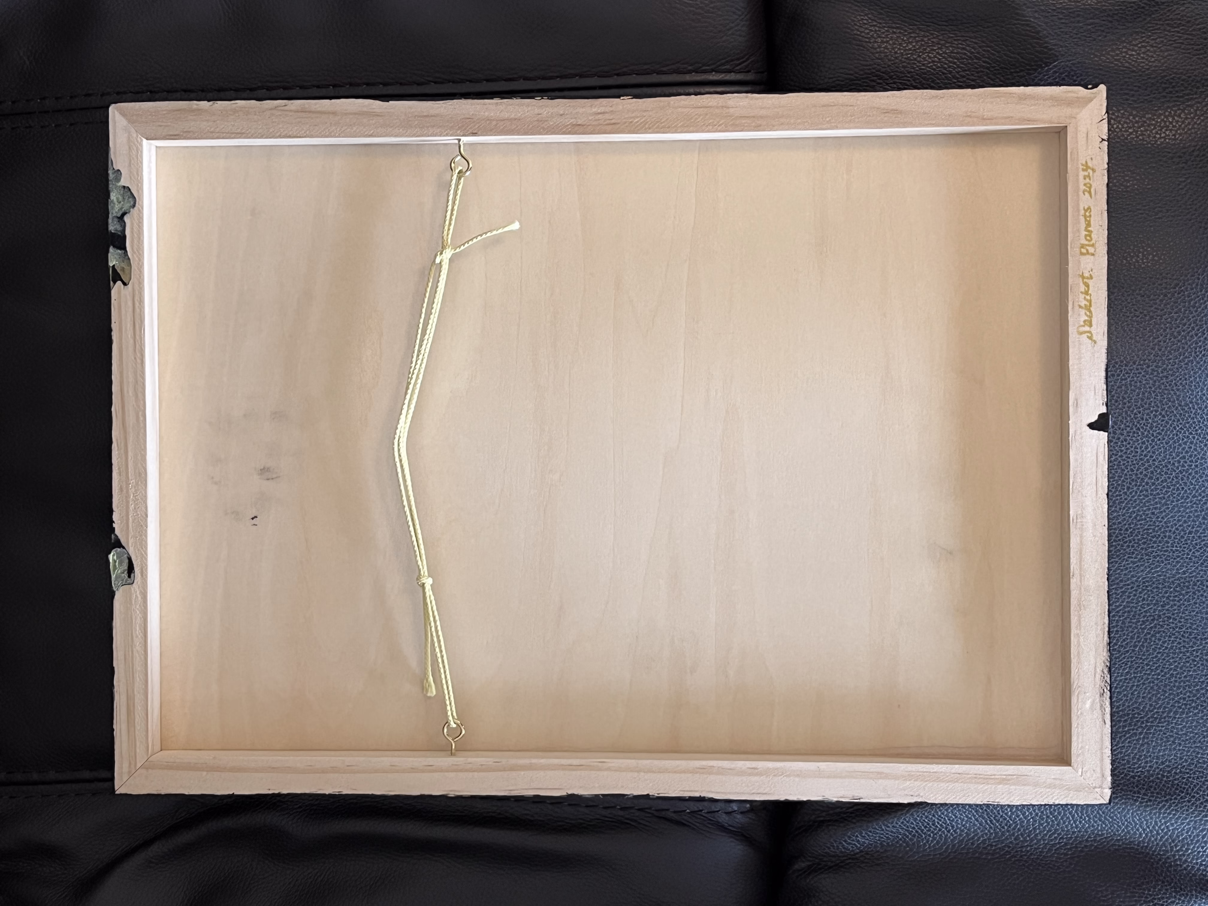 Sachikot.細密模様画のPlanetsシリーズ「華」