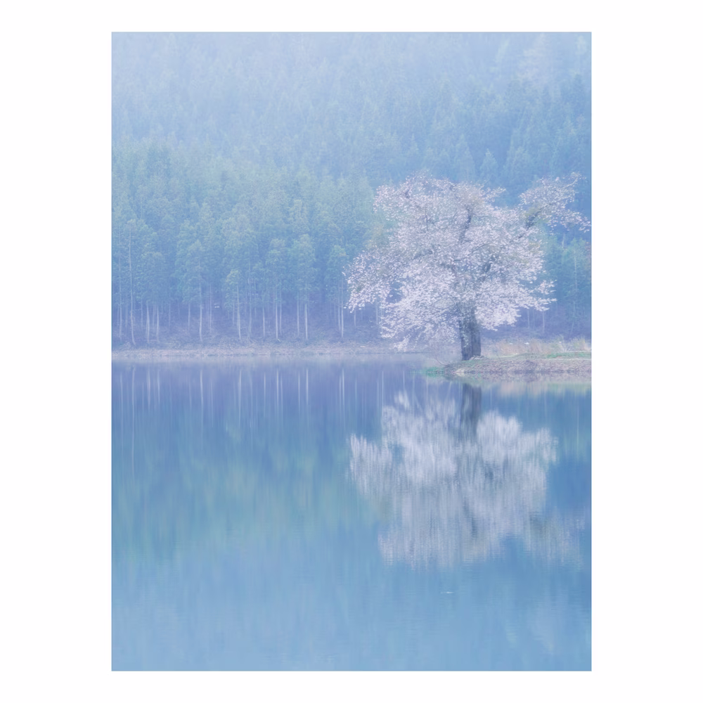 静穏の時