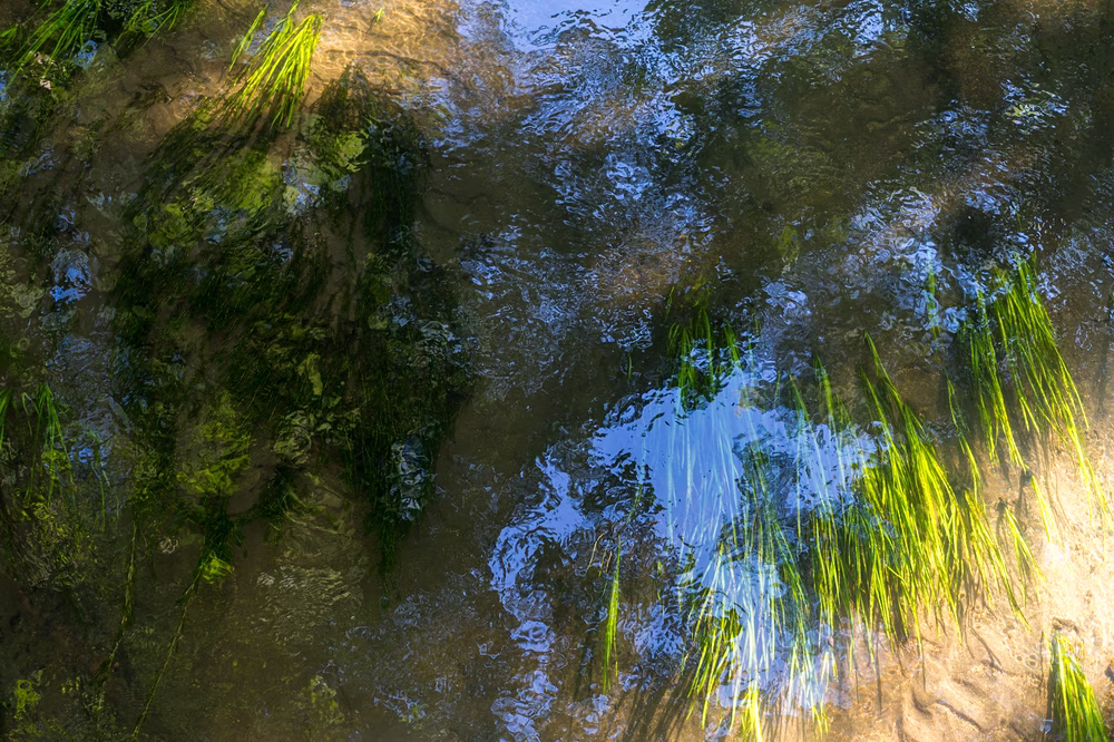  flow light 