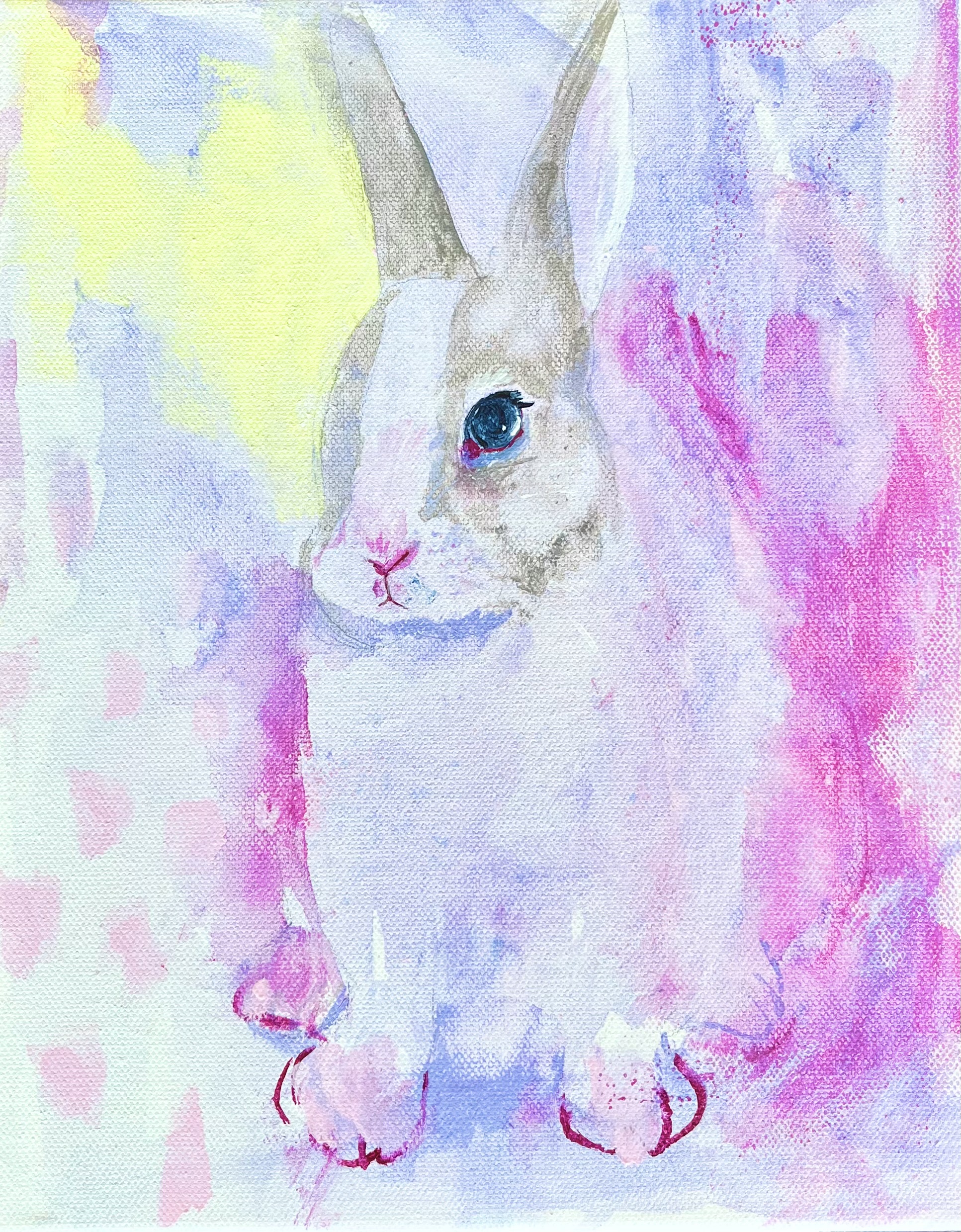 儚いうさぎ