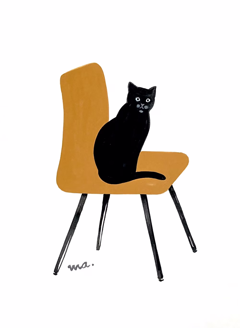 Cat and chair
