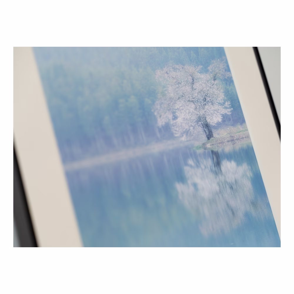 静穏の時