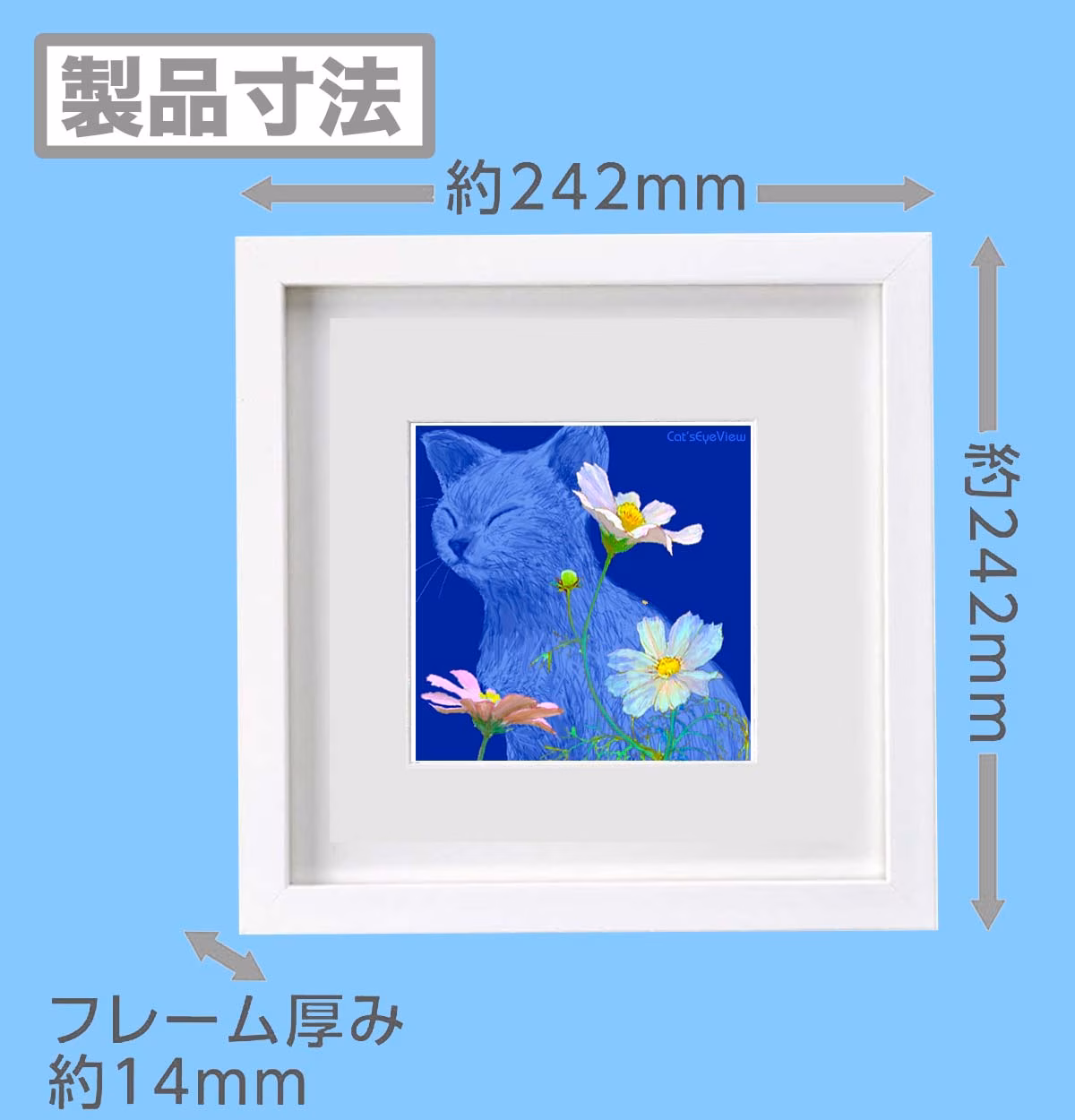 CAT005