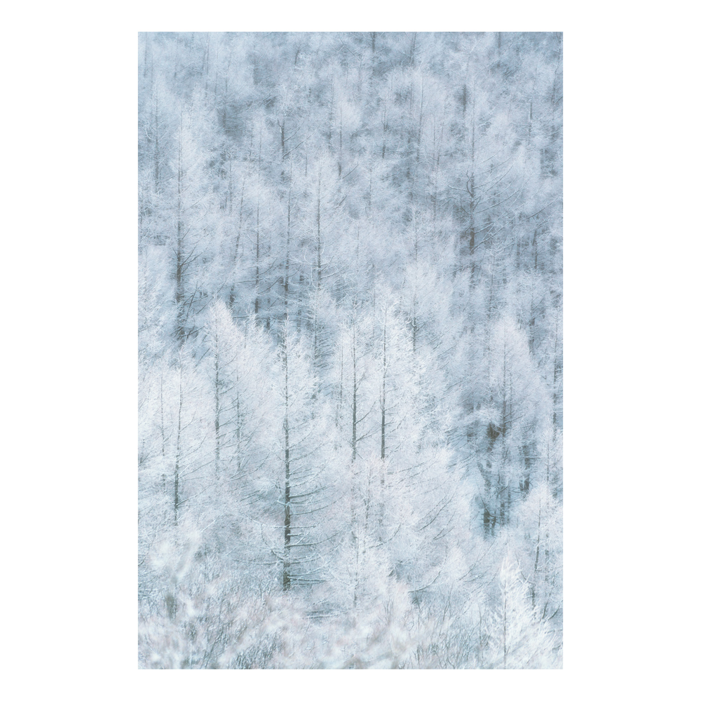霧氷