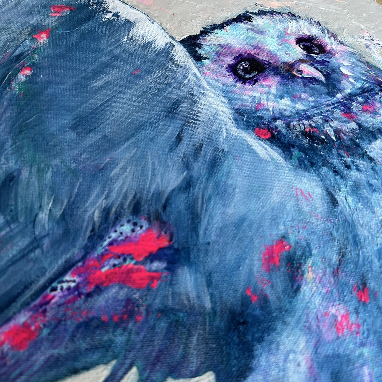 Owl